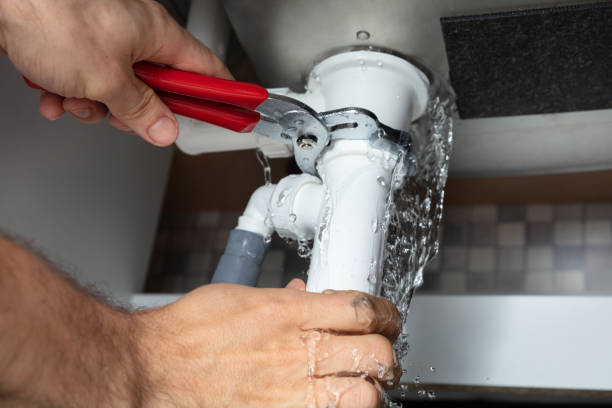 Best Mold removal after water damage  in Port Republic, NJ