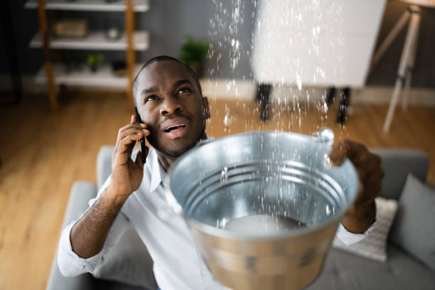 Best Water damage cleanup near me  in Port Republic, NJ