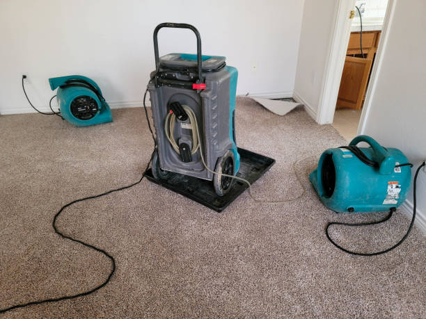Best Water damage contractors near me  in Port Republic, NJ