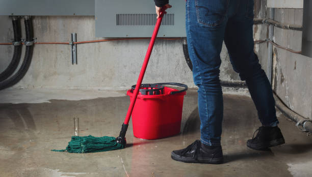 Best Basement water damage restoration  in Port Republic, NJ