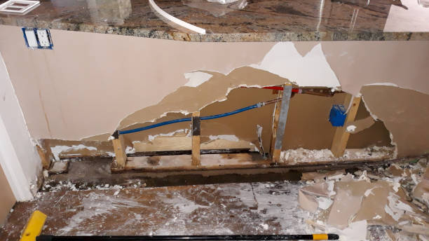 Best Flooded house restoration  in Port Republic, NJ