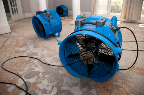 Best Ceiling water damage repair  in Port Republic, NJ