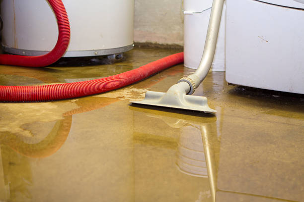 Best Water damage restoration insurance claims  in Port Republic, NJ