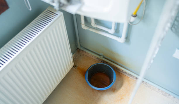 Best Water damage restoration near me  in Port Republic, NJ
