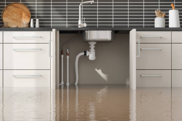  Port Republic, NJ Water damage restoration Pros